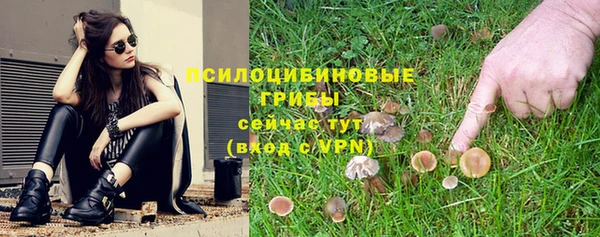 скорость Алзамай