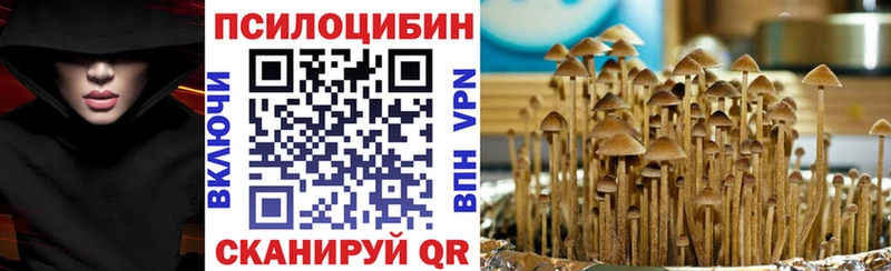 Псилоцибиновые грибы прущие грибы  закладка  Ветлуга 